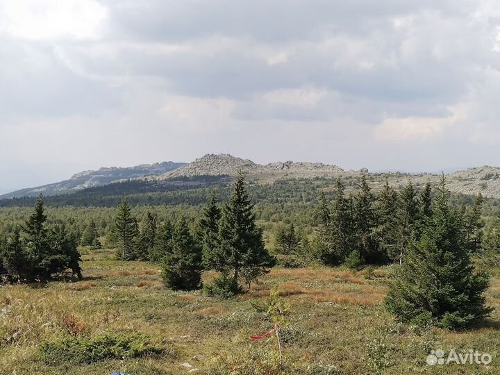 Туризм аренда