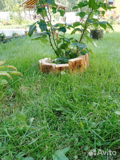 Кашпо - паровозик для цветов