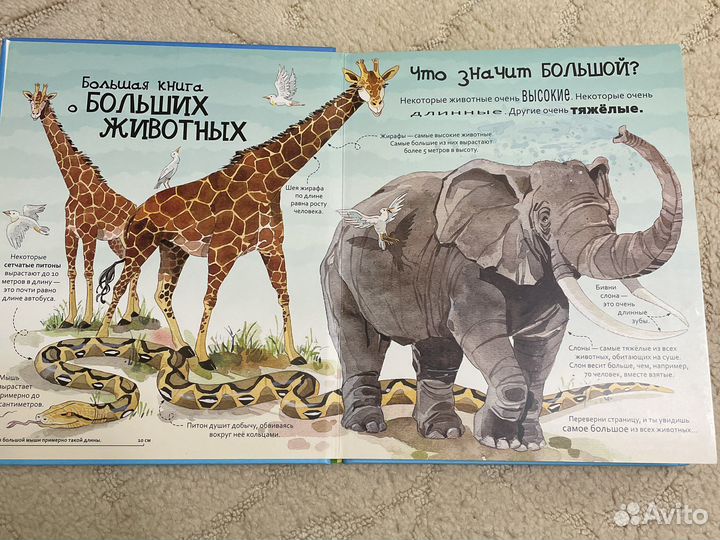 Большая книга о животных