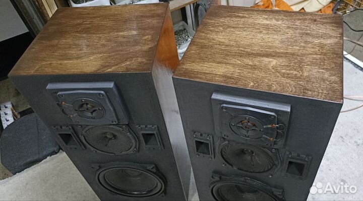 Акустические колонки Вега 106