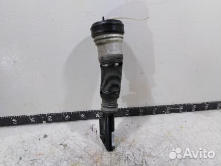 Пневмоамортизатор передний A2203202438