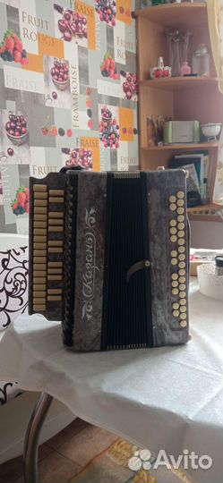 Казань гармонь