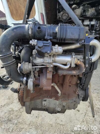 Двигатель Рено Ниссан 1,5 dci Delphi k9k стартер с