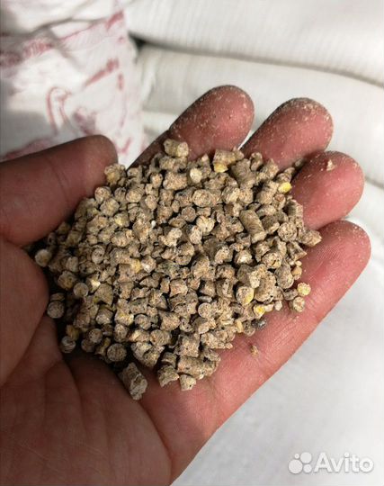 Корма с Доставкой