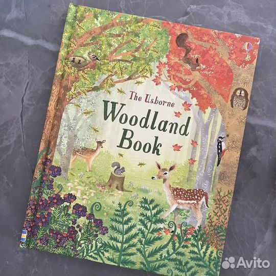 Usborne Woodland Book