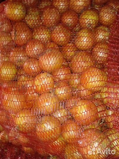 Лук, морковь