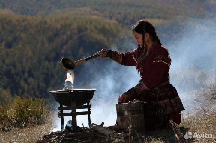 Пуэр Дикий Шаман Алтайский Сорт 50гр