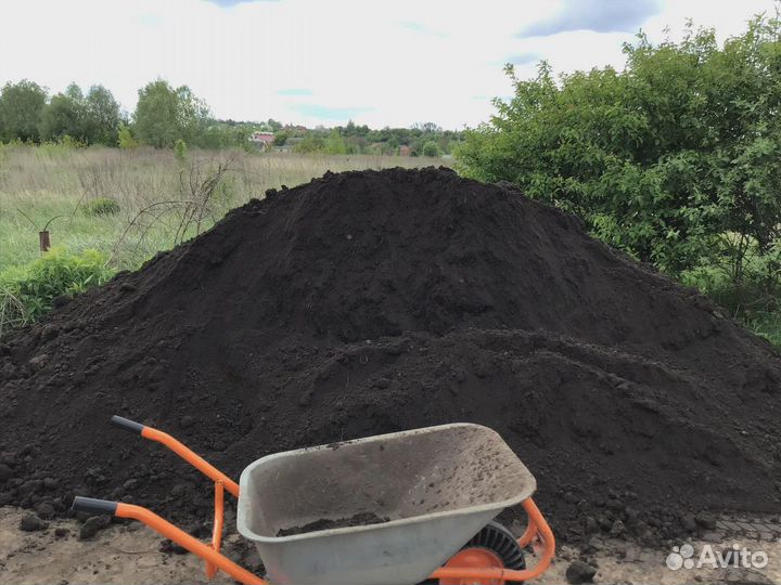 Чернозем луговой