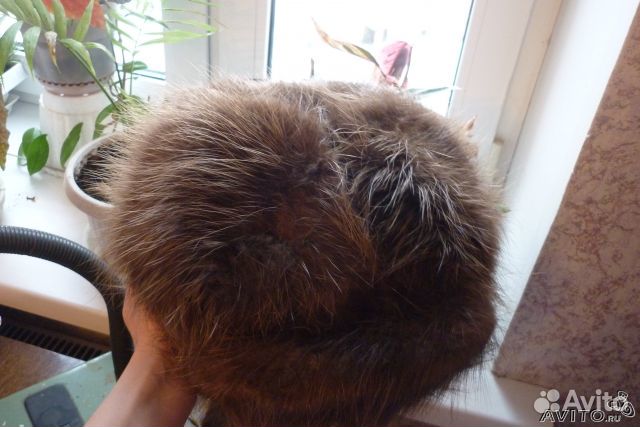 Шапка из бобра