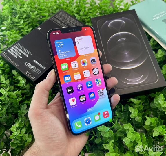 iPhone 12 Pro Max, 256 ГБ