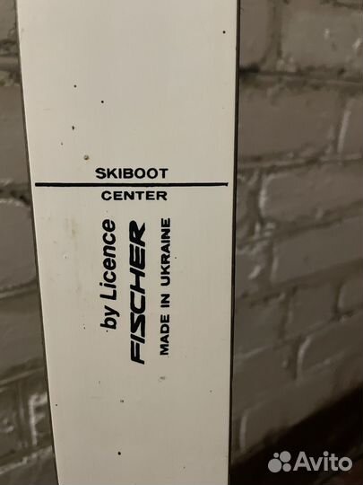 Горные лыжи fischer rc4
