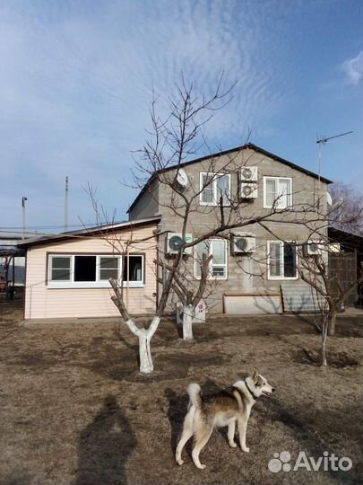 Рыбалка, сдача дома