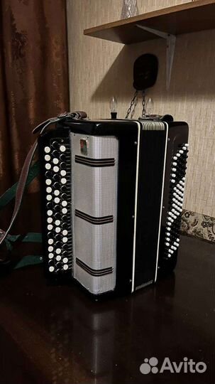 Баян вологодский