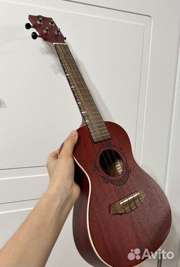 Укулеле flight концерт