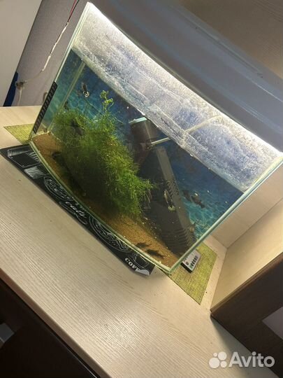 Аквариум 35л с рыбками и фильтром