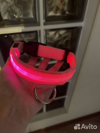 Светящийся ошейник для собак