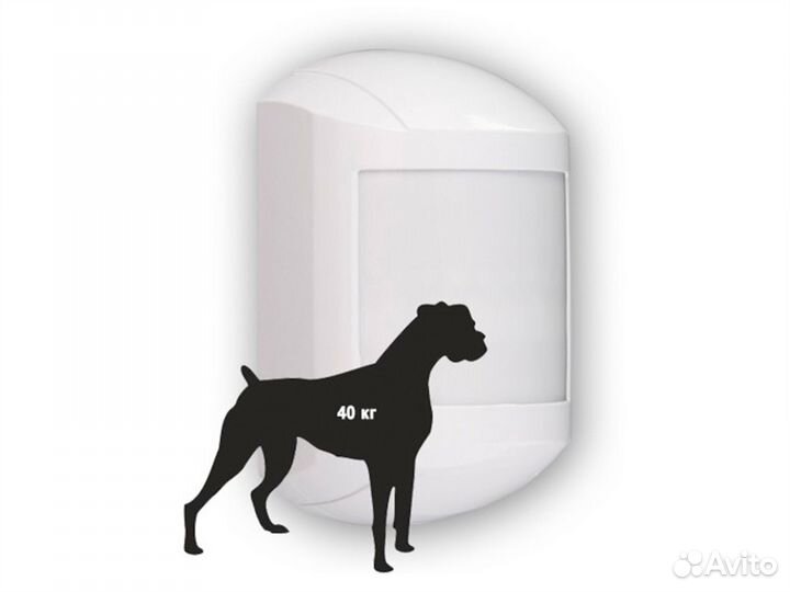 Сигнализация с защитой от животных