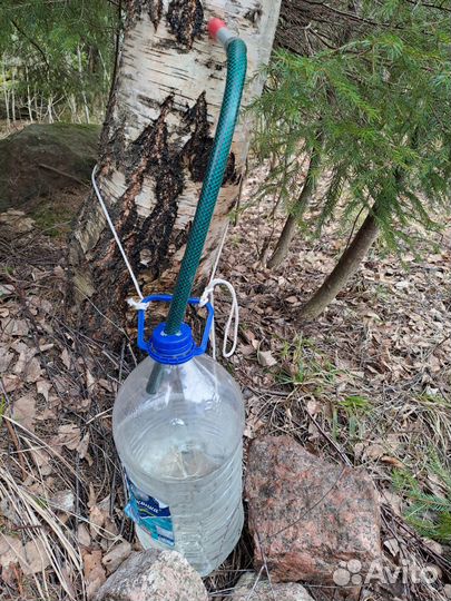 Сок березовый