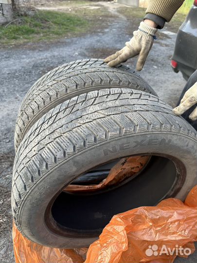 Nexen Winguard Ice Plus 215/55 R17 98T