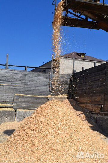 Щепа дубовая, фруктовая, кленовая