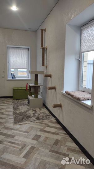 Гостиница для кошек 