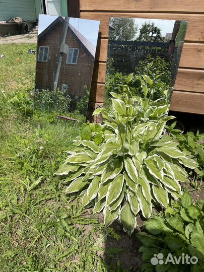 2 прямоугольных зеркала 42 на 82 см