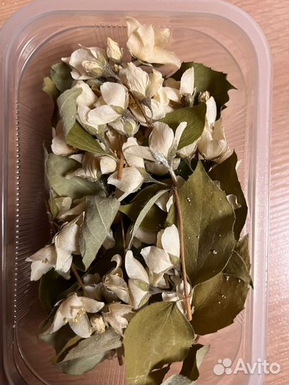 Цветы сухоцветы