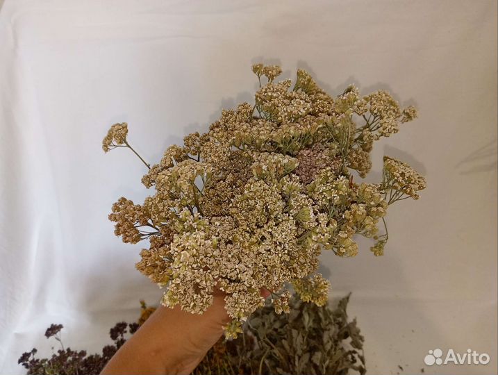 Душица, мята, Зверобой, Клевер, Тысячелистник и др