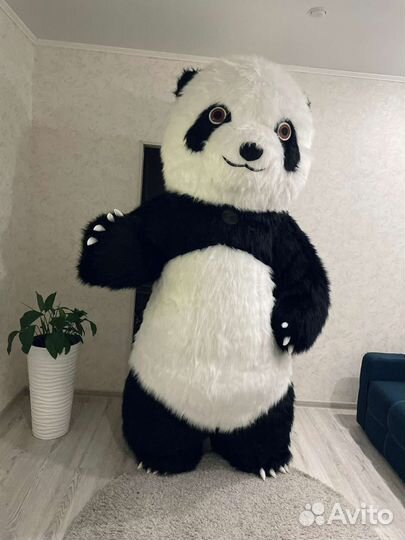 Поздравление от панды