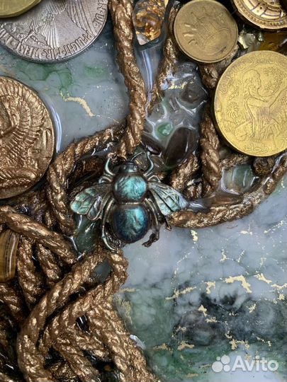 Денежное дерево