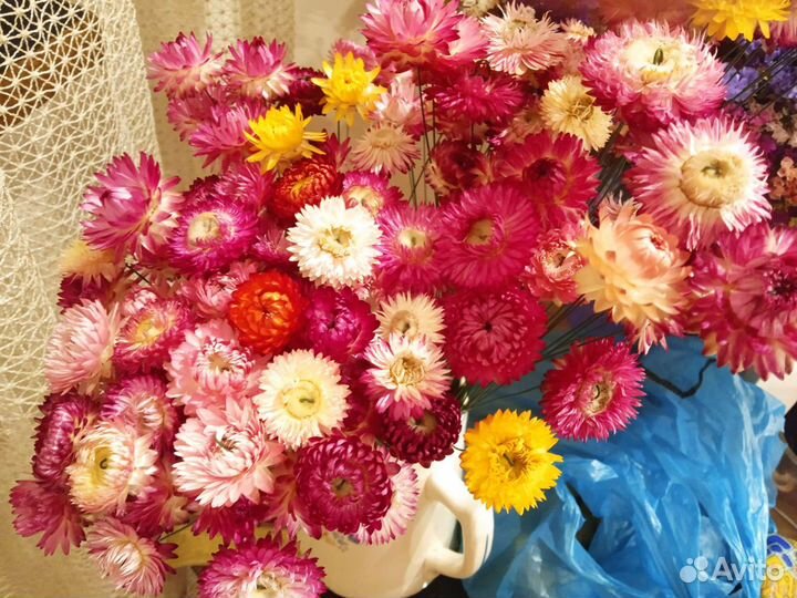 Собираю Букет из сухоцветов на первое сентября