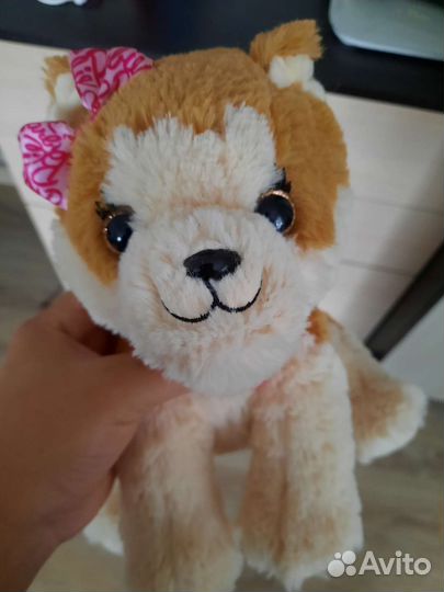 Собачка Barbie в рюкзаке