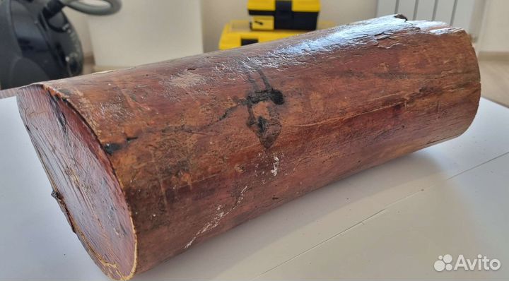 Бивень мамонта