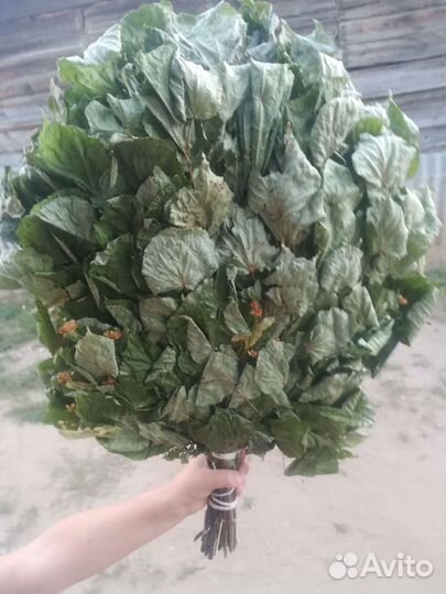 Банные веники