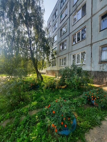 Комната 13 м² в 1-к., 4/5 эт.