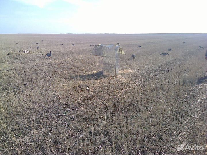 Зеркальный скрадок