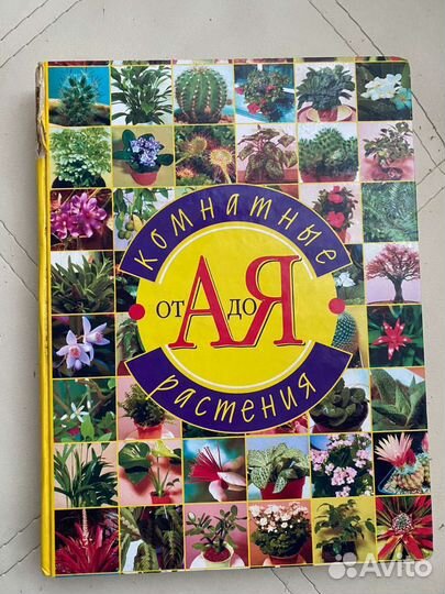 Комнатные растения цветы. Справочник