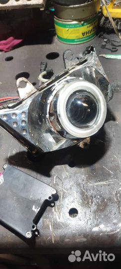 Фара ангельская глазка