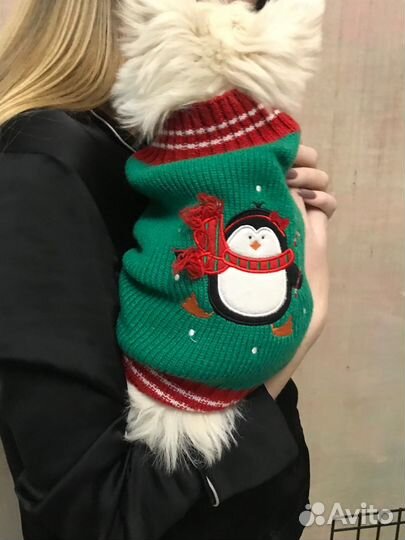 Свитер для собак мелких пород Rurri S новый