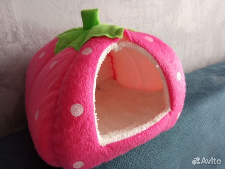 Одежда для маленьких собак