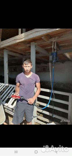 Стрижка овец