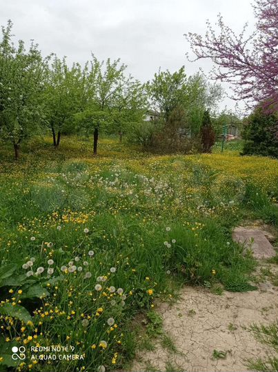 Дом 44 м² на участке 14 сот.