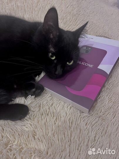 Чехол на iPhone 13 в цвете марсала