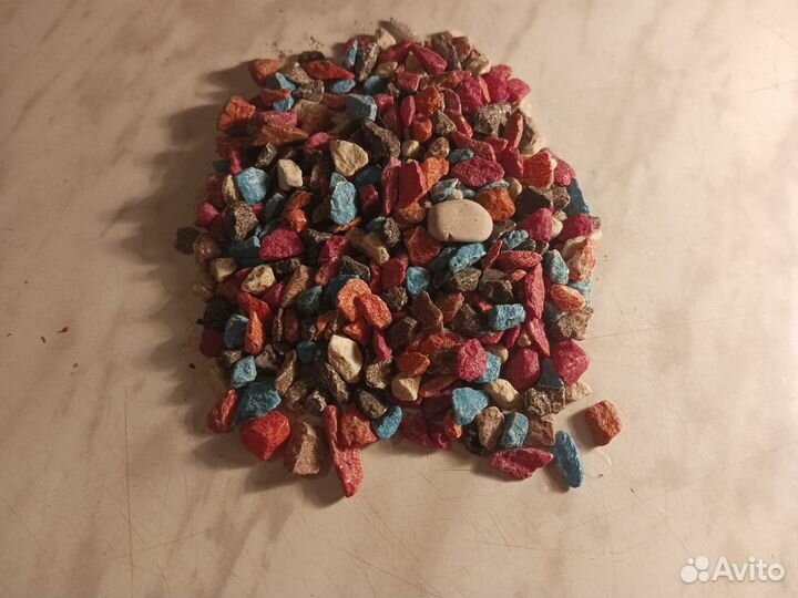 Растения аквариумные, камни и ракушки(рапана)