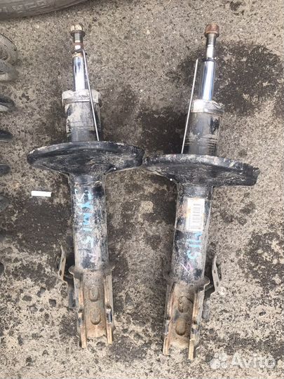 Пружины ipsum