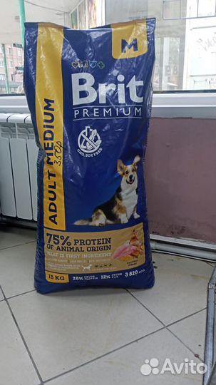 Продам корм Брит для средних пород