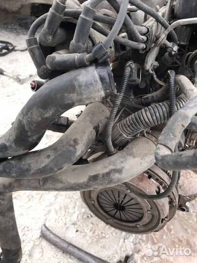 Двигатель 1.4л., AEX, Фольксваген, seat