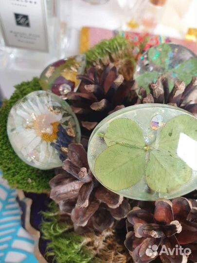 Клевер четырехлистный