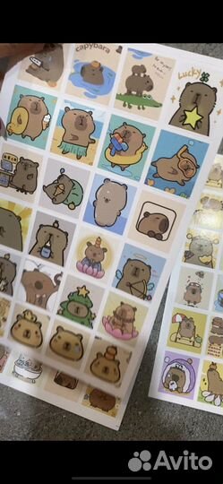 Стикеры капибара