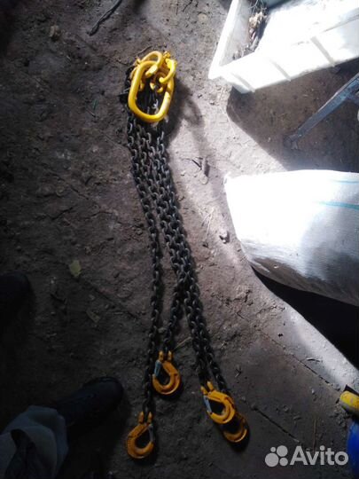 Паук цепной